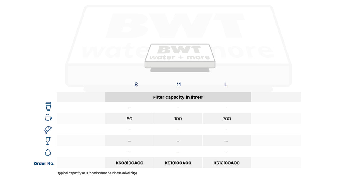 BWT Bestsave Limescale Pad L