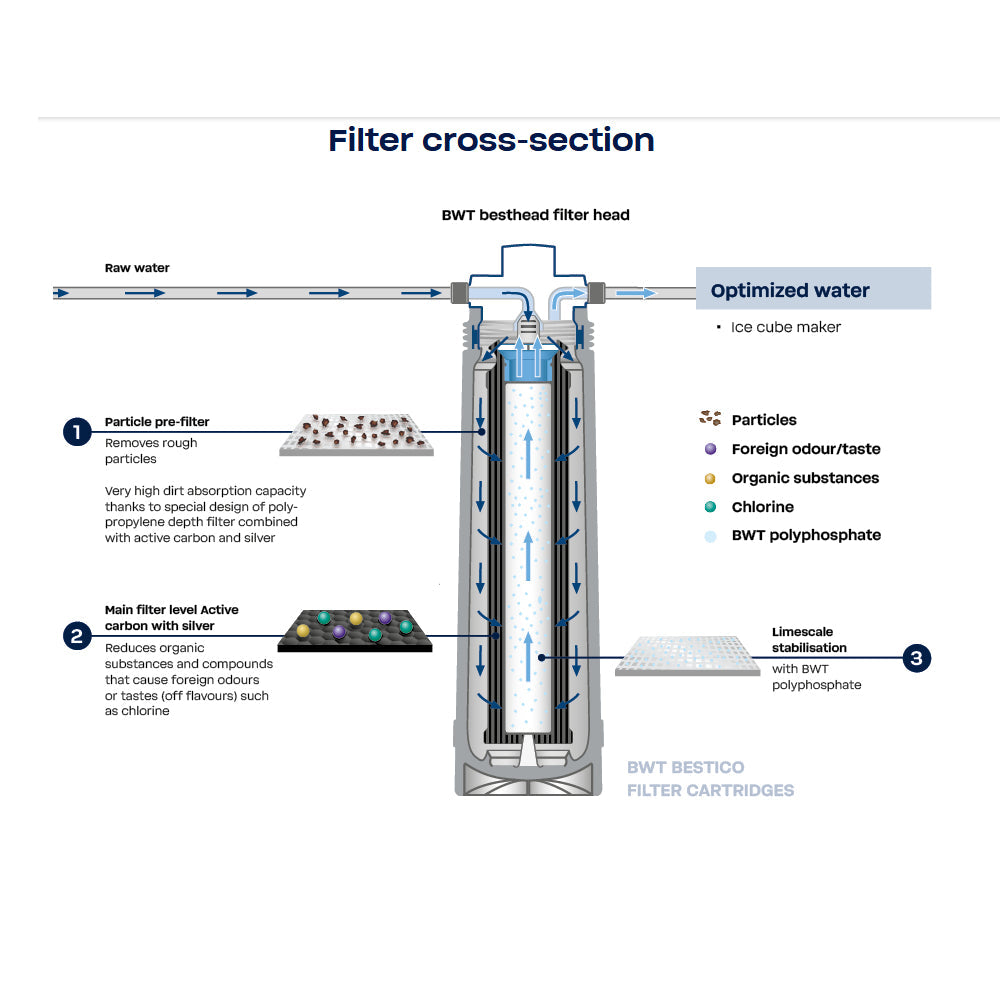 BWT Bestico Cartridge - the Dual Protector